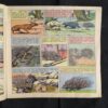Tinkle no-299 ( Front Cover Small Cut )