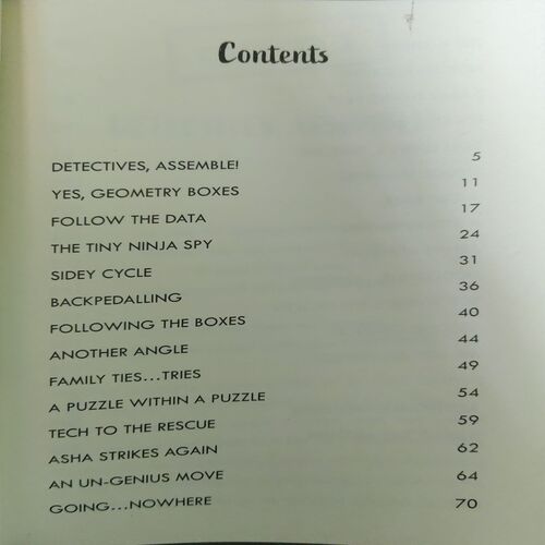 Document_57 The Mystery of the Missing Geometry ( No. of Pages = 135 ) ( By = Vidya V. )