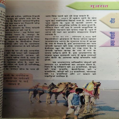 Document_83 Sarita ( 1st May 2010 )