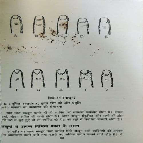 Sampurn Hasthrekha - Vigyan (Total Pages = 195 )