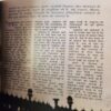 Document_95 Sarita ( 1st April 2017 )