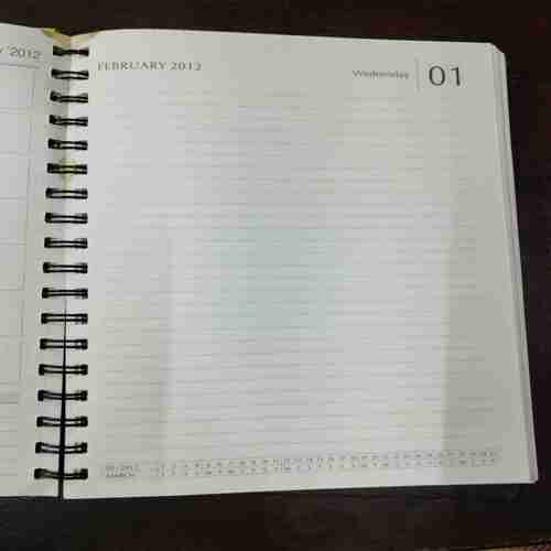 Document 11_23 Diary ( 2012 )