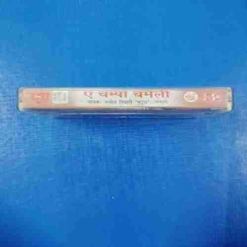 Document 12_184 AUDIO CASSETTES : YE CHAMPA CHAMELI