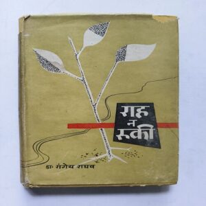 Document 12_67 Rah Na Ruki ( Dr . Rangeya Raghav )