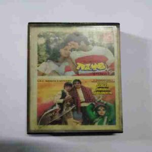 Document 14_5 AUDIO CASSETTES : TEZAAB & GANGAA JAMUNAA SARASWATHI