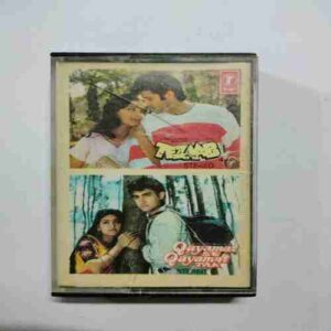 Document 14_73 AUDIO CASSETTES : TEZAAB & QAYAMAT SE QAYAMAT TAK