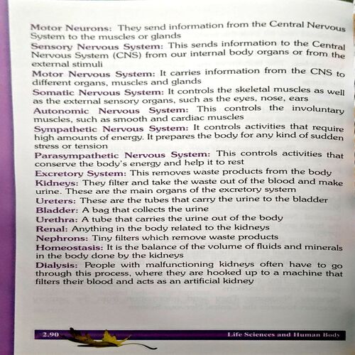 Children Encyclopedia (pages 290)