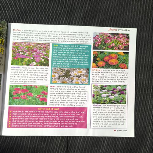 Document 2_14 Vanita ( February 2026 )