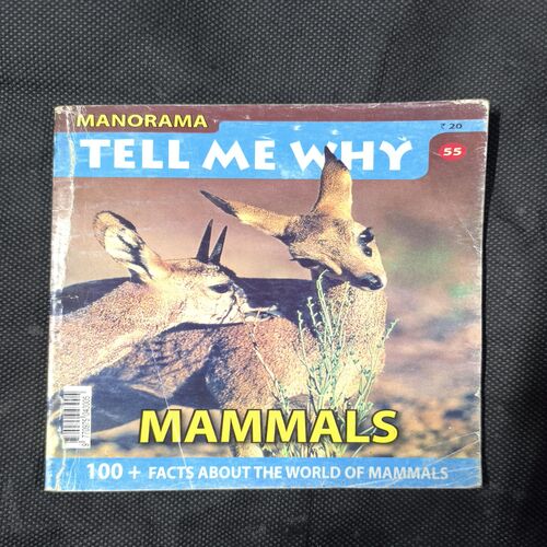 Tell Me Why ( April 2011 )