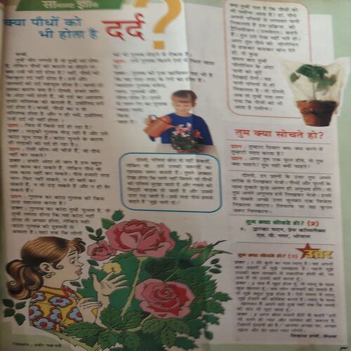 Bal Bhaskar ( 1st June 2001 )