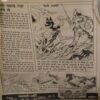 Document 3_38 Balrang ( 18 May 1994 )