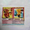 Document 3_39 AUDIO CASSETTES ; SHAPTH & AUNTY No.1