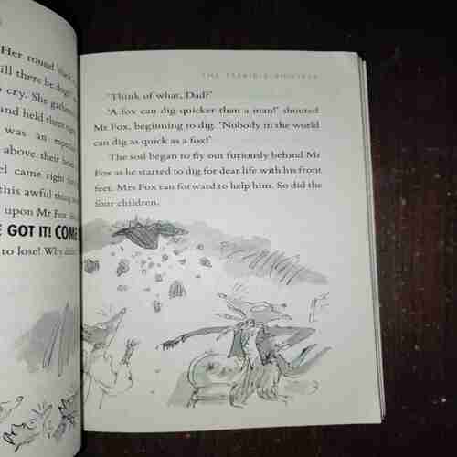 Document 3_74 Roald Dahl ( Fantastic Mr Fox )( Rs. 350 )