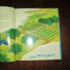 How The Mango Got Its Magic ( Sudha Murty )( Rs. 199 )