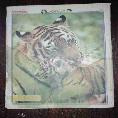Document 3_9 Balrang ( October 1999 )