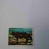 NEPAL 2Paisa POSTAGE , COW 1973 STAMP