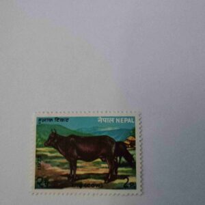 Document 4_15 NEPAL 2Paisa POSTAGE , COW 1973 STAMP
