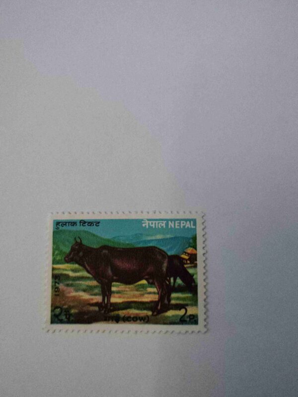 NEPAL 2Paisa POSTAGE , COW 1973 STAMP