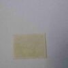 NEPAL 2Paisa POSTAGE , COW 1973 STAMP