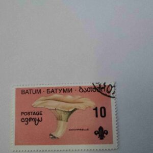 Document 4_17 BATUM 10 UNITS POSTAGE , CNDERELLA 1994 STAMP