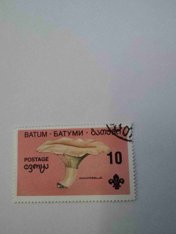 Document 4_17 BATUM 10 UNITS POSTAGE , CNDERELLA 1994 STAMP