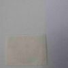 SAHARA OCC. R.A.S.D. 40PTAS POSTAGE, ARCTOTIS BREVISCAPA ( CORREOS 1994 ) STAMP