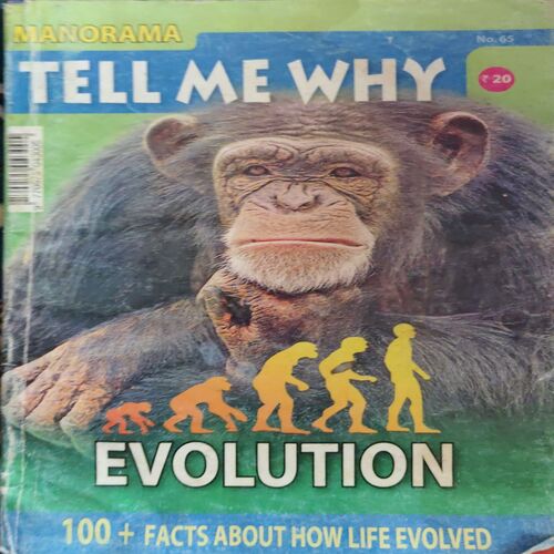 Tell me why ( February 2012 )