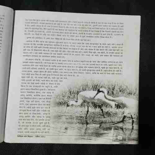 Document 4_71 Nikhil mantra vigyan (April 2012)