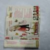 AUDIO CASSETTES ; AASHIQUI