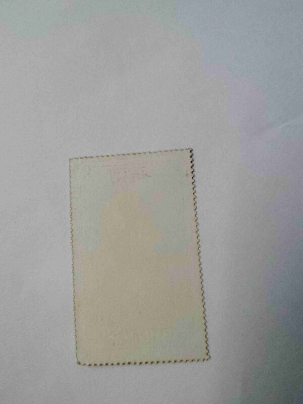 BHUTAN 2CH POSTAGE , CARPACCIO - THE WRITER 1993 STAMP