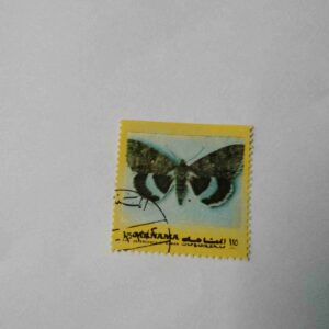 CLIFDEN NONPAREIL 1.25 RIYALS POSTAGE , ( CATOCALA FRAXINI ) 1972 STAMP