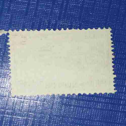 PAKISTAN POSTAGE STAMP 2PAISA