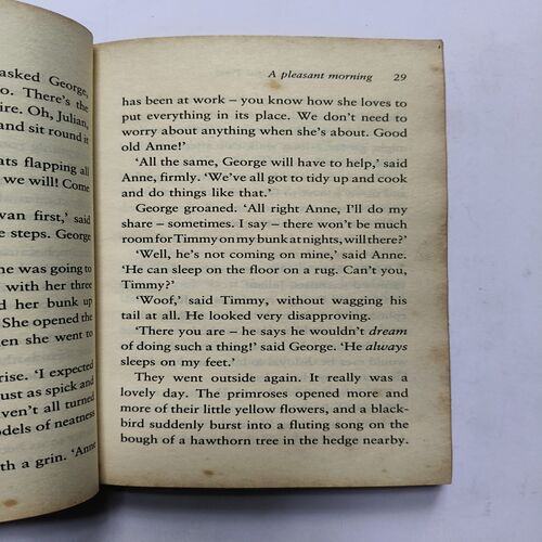 The famous Five ( By Enid Blyton )