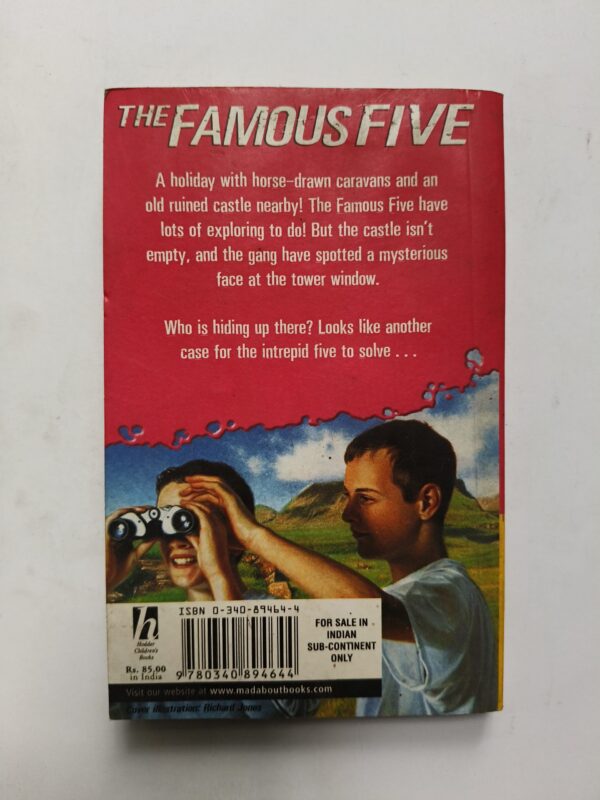 The famous Five ( By Enid Blyton )