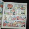 Document_149 Chacha Chaudhary Aur Sawachh Bharat