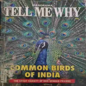 Tell Me Why ( September 2017 )