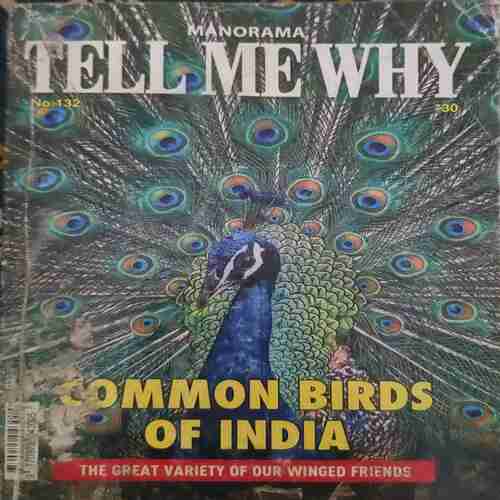 Tell Me Why ( September 2017 )