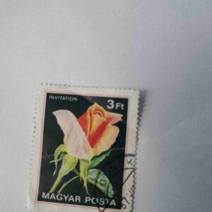 Document_23 MAGYAR POSTA 3Ft POSTAGE , HUNGARIAN STAMP ( MICHELE MEILLAND ROSE ) 1982