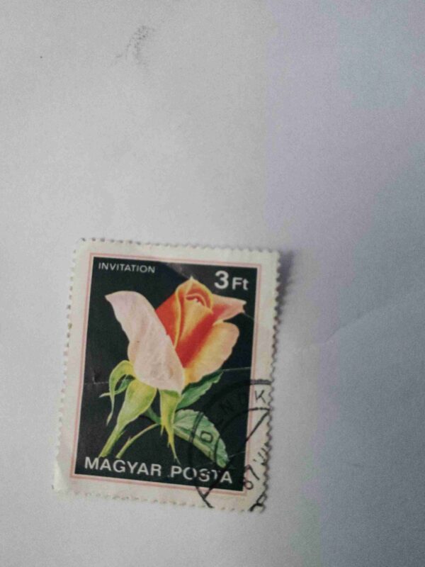 MAGYAR POSTA 3Ft POSTAGE , HUNGARIAN STAMP ( MICHELE MEILLAND ROSE ) 1982