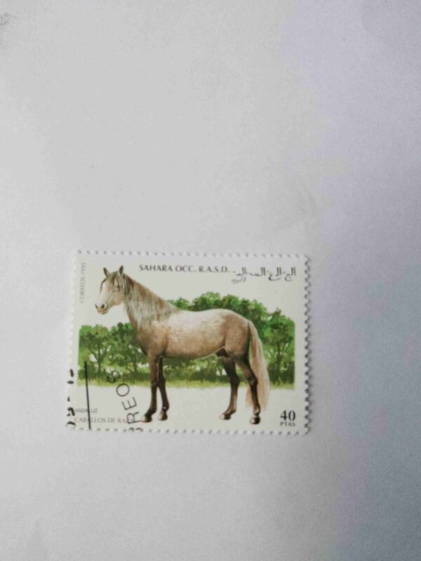 1993 SAHARA OCC 40PTAS POSTAGE , ANDALUSIAN HORSE USED STAMP