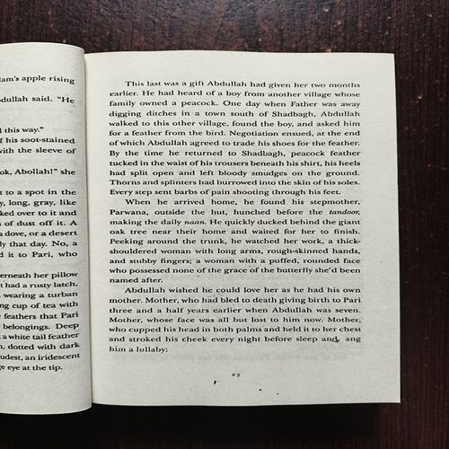 And The Mountains Echoed ( Khaled Hosseini ) And The Mountains Echoed ( Khaled Hosseini )