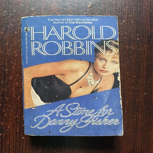 A Stone For Danny Fisher ( Harold Robbins )