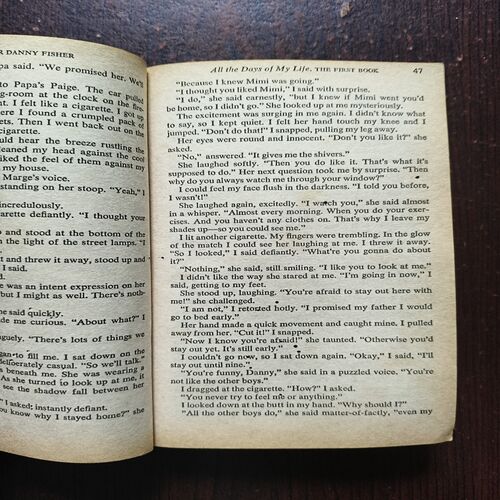A Stone For Danny Fisher ( Harold Robbins )