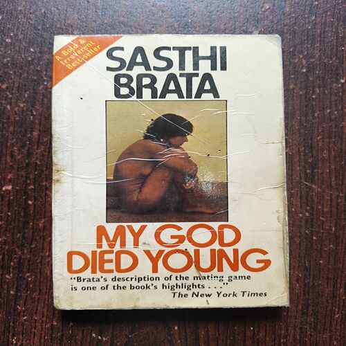 My god Died Young ( Sasthi Brata ) My god Died Young ( Sasthi Brata )