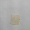 NEPAL 10P. POSTAGE STAMP NEPAL 10P. POSTAGE STAMP