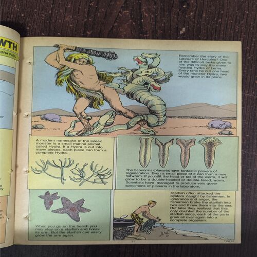 Tinkle no-193