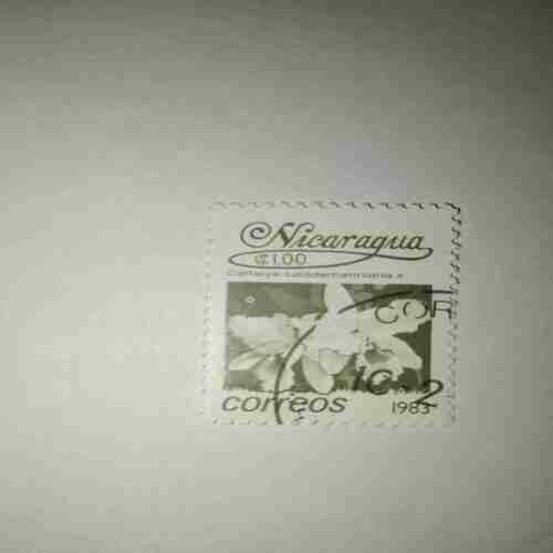 NICARAGUA 1.00Cent POSTAGE , CATTLEYA LUEDDEMANNIANA X ( CORREOS 1983 ) NICARAGUA 1.00Cent POSTAGE , CATTLEYA LUEDDEMANNIANA X ( CORREOS 1983 )