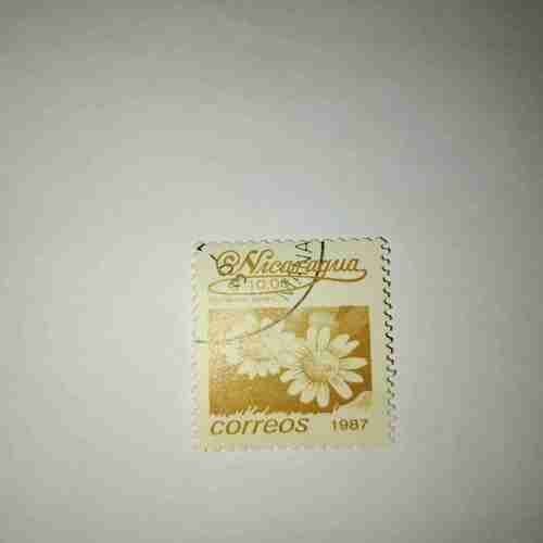 NICARAGUA 10.00C POSTAGE STAMP , SENECIO SPEC. ( CORREOS 1987 ) NICARAGUA 10.00C POSTAGE STAMP , SENECIO SPEC. ( CORREOS 1987 )