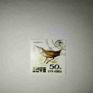 DPR KOREA 50 POSTAGE , RALLUS AQUATICUS 1990 STAMP DPR KOREA 50 POSTAGE , RALLUS AQUATICUS 1990 STAMP