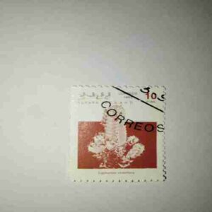 SAHARA OCC. R.A.S.D. 10PTAS POSTAGE , EUPHORBIA RESINIFERA (1992 CORREOS STAMP ) SAHARA OCC. R.A.S.D. 10PTAS POSTAGE , EUPHORBIA RESINIFERA (1992 CORREOS STAMP )